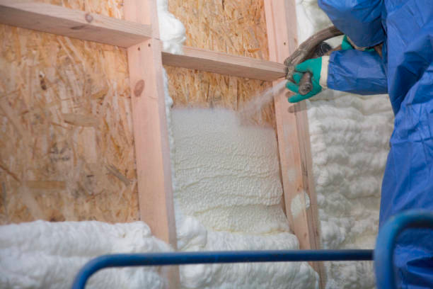 Pros and Cons of Spray Foam Insulation