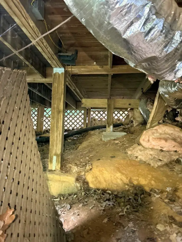 crawlspace 2jpg