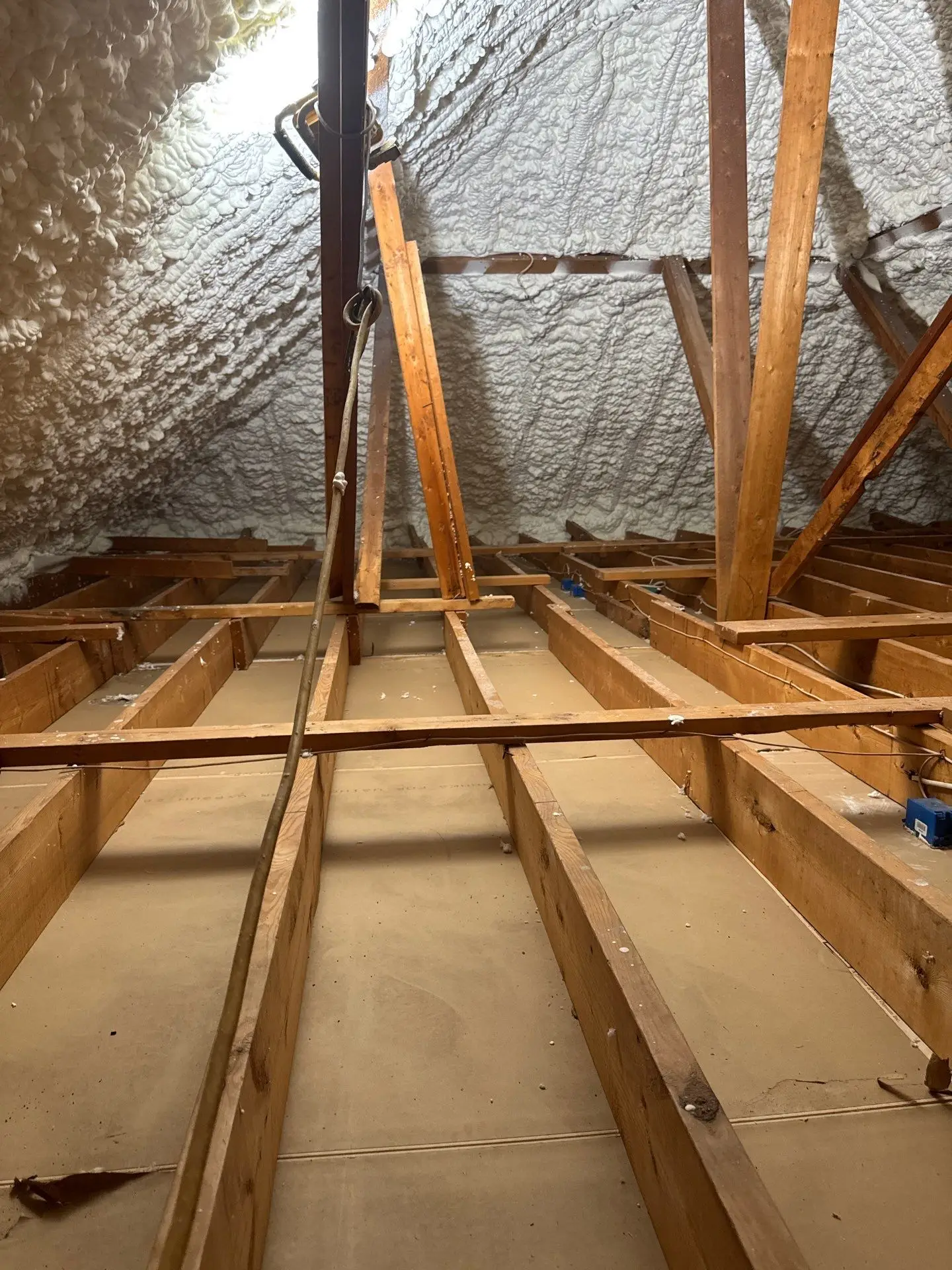 attic encapsulation
